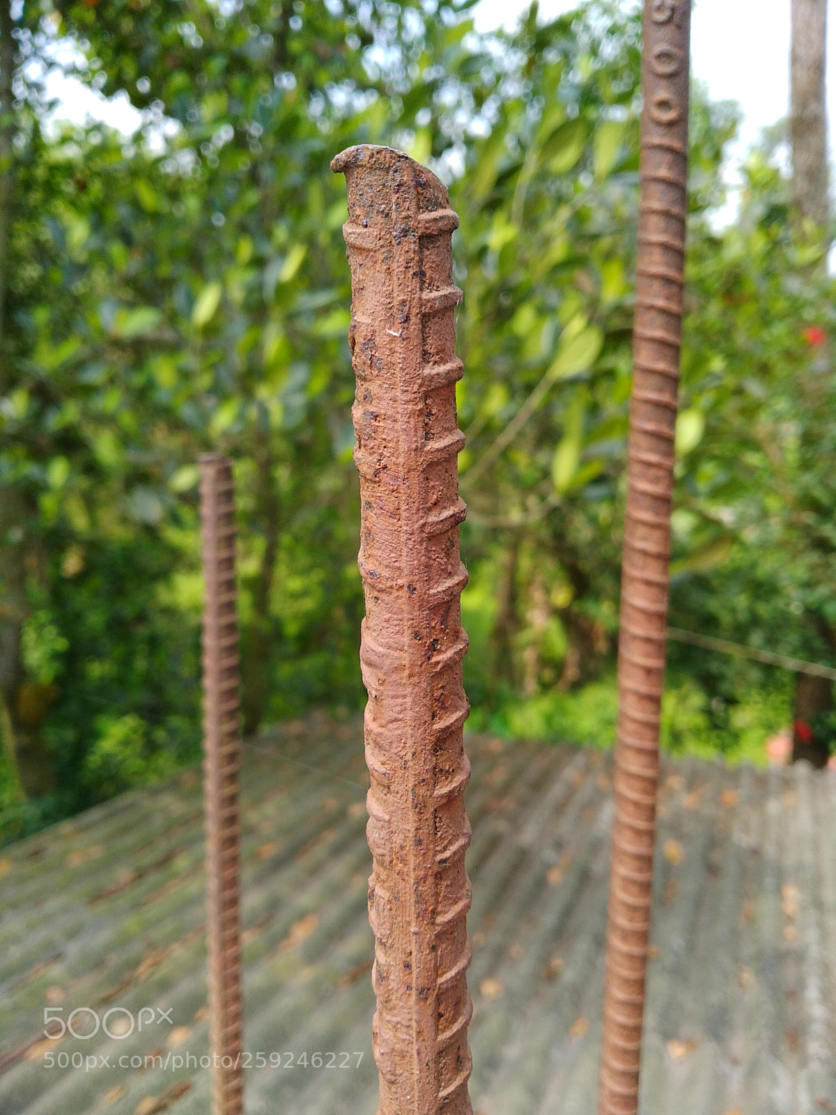 Xiaomi Redmi Note 5 sample photo. Img_20180521_093637.jpg photography