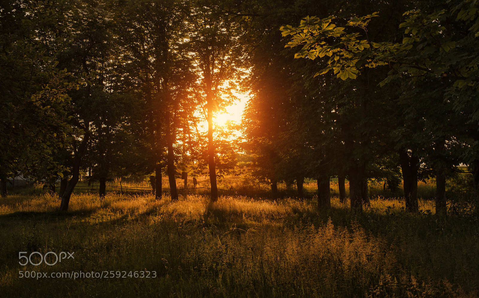 Canon EOS 5D Mark II sample photo. ... photography