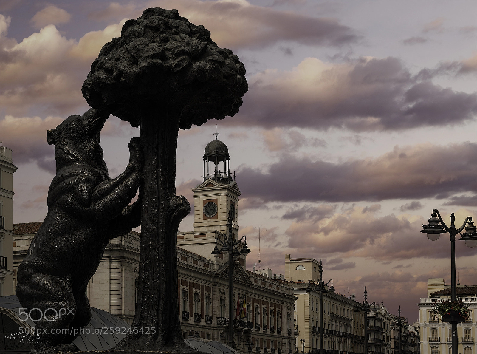 Nikon D810 sample photo. El oso y el photography