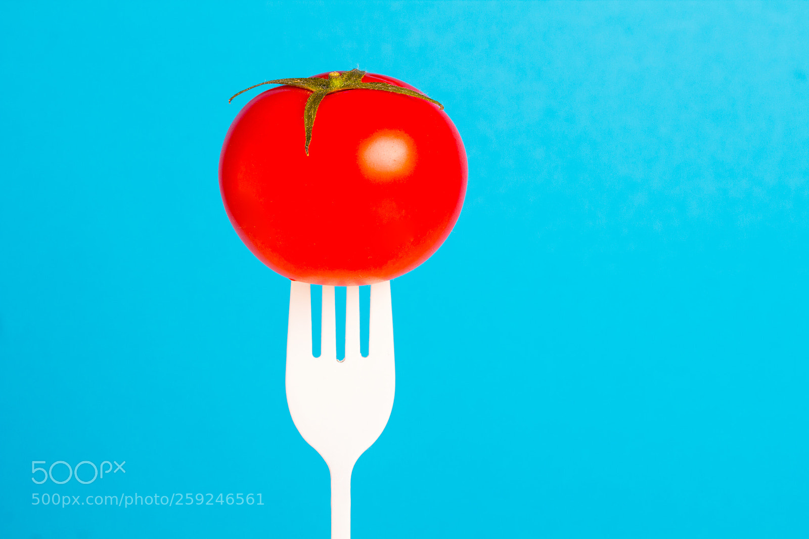 Canon EOS 60D sample photo. Tomato fresh vegetable bright photography
