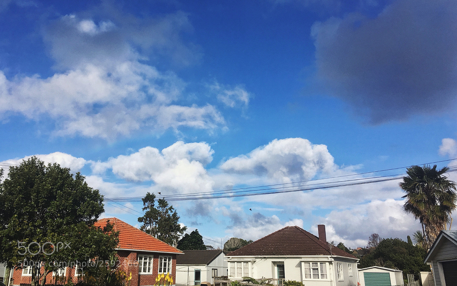 Apple iPhone SE sample photo. State houses in auckland photography