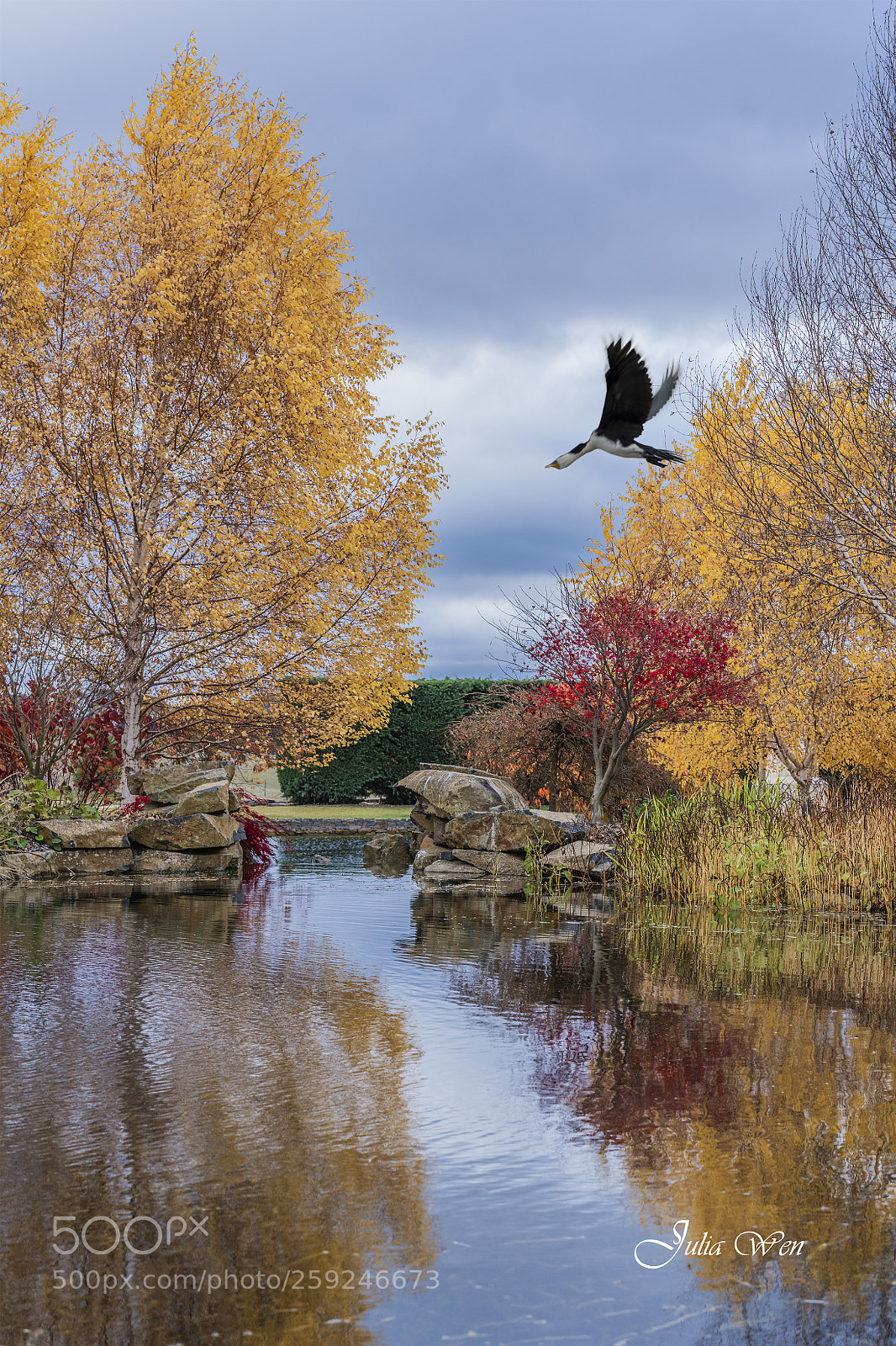 Nikon D850 sample photo. Autumn photography