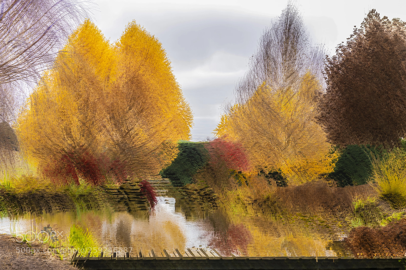 Nikon D850 sample photo. Autumn photography