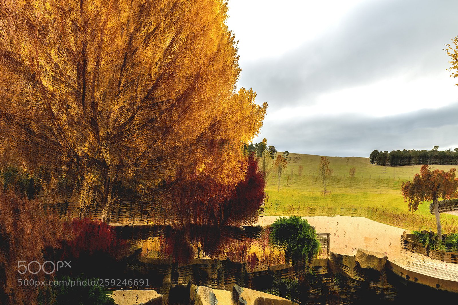 Nikon D850 sample photo. Autumn photography