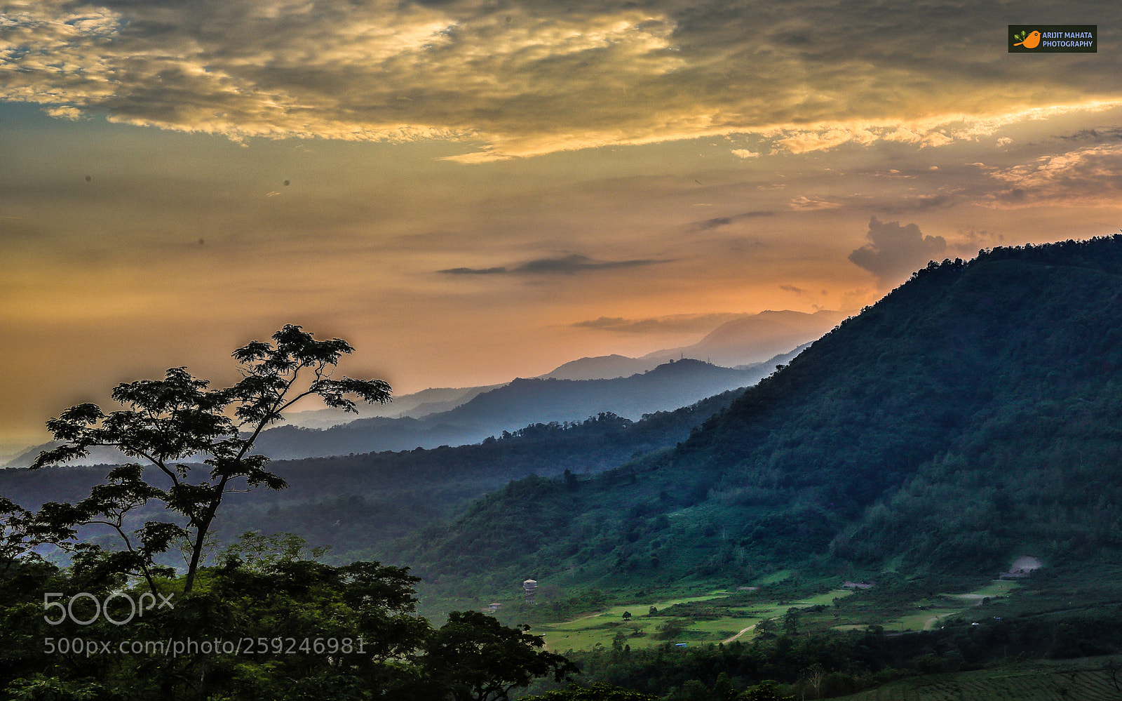 Canon EOS 6D Mark II sample photo. Untitled photography