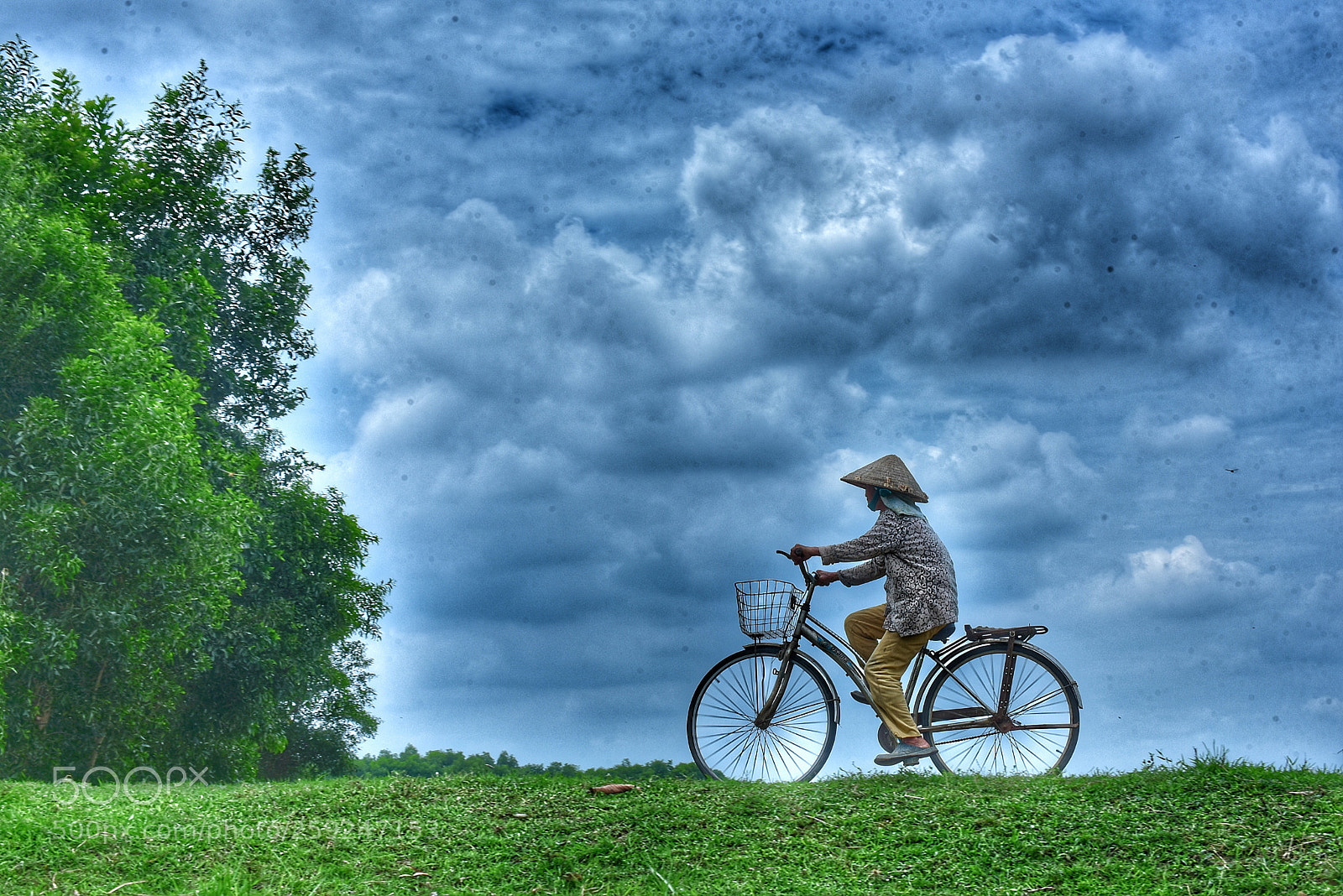 Nikon D750 sample photo. Running rain... photography