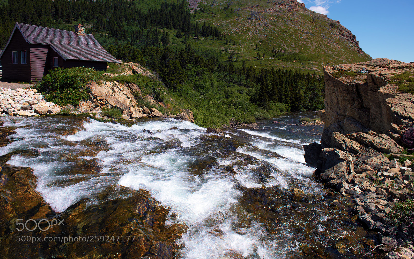 Nikon D810 sample photo. Summer stream photography
