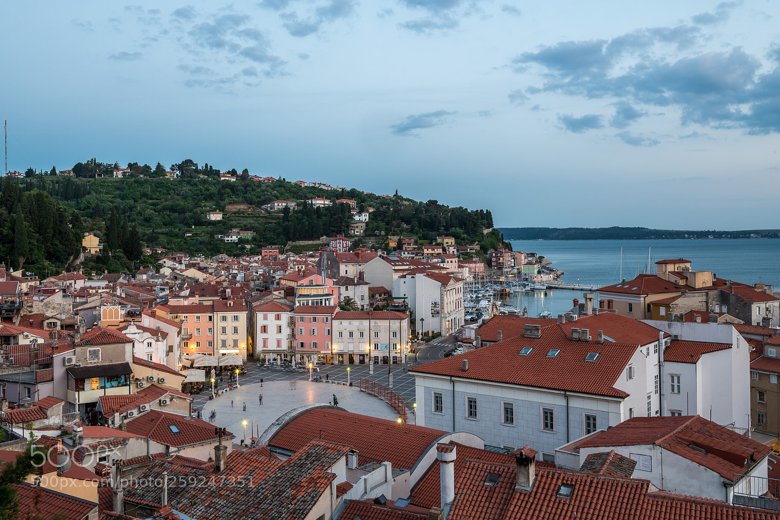 Nikon D850 sample photo. Piazza tartini, piran photography