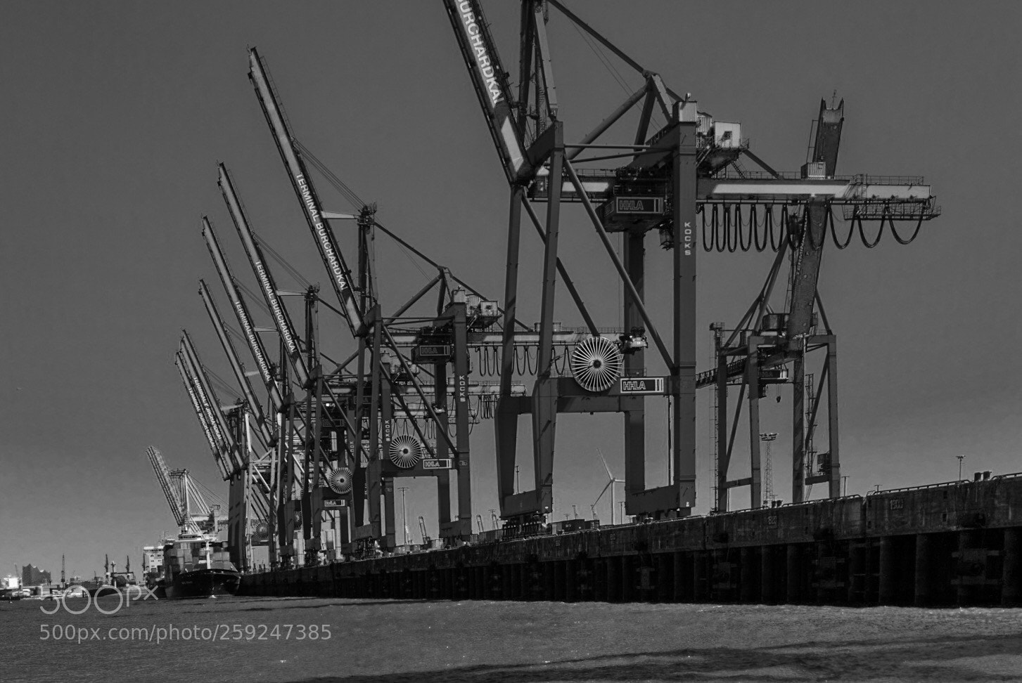 Sony Cyber-shot DSC-RX100 IV sample photo. Giants photography
