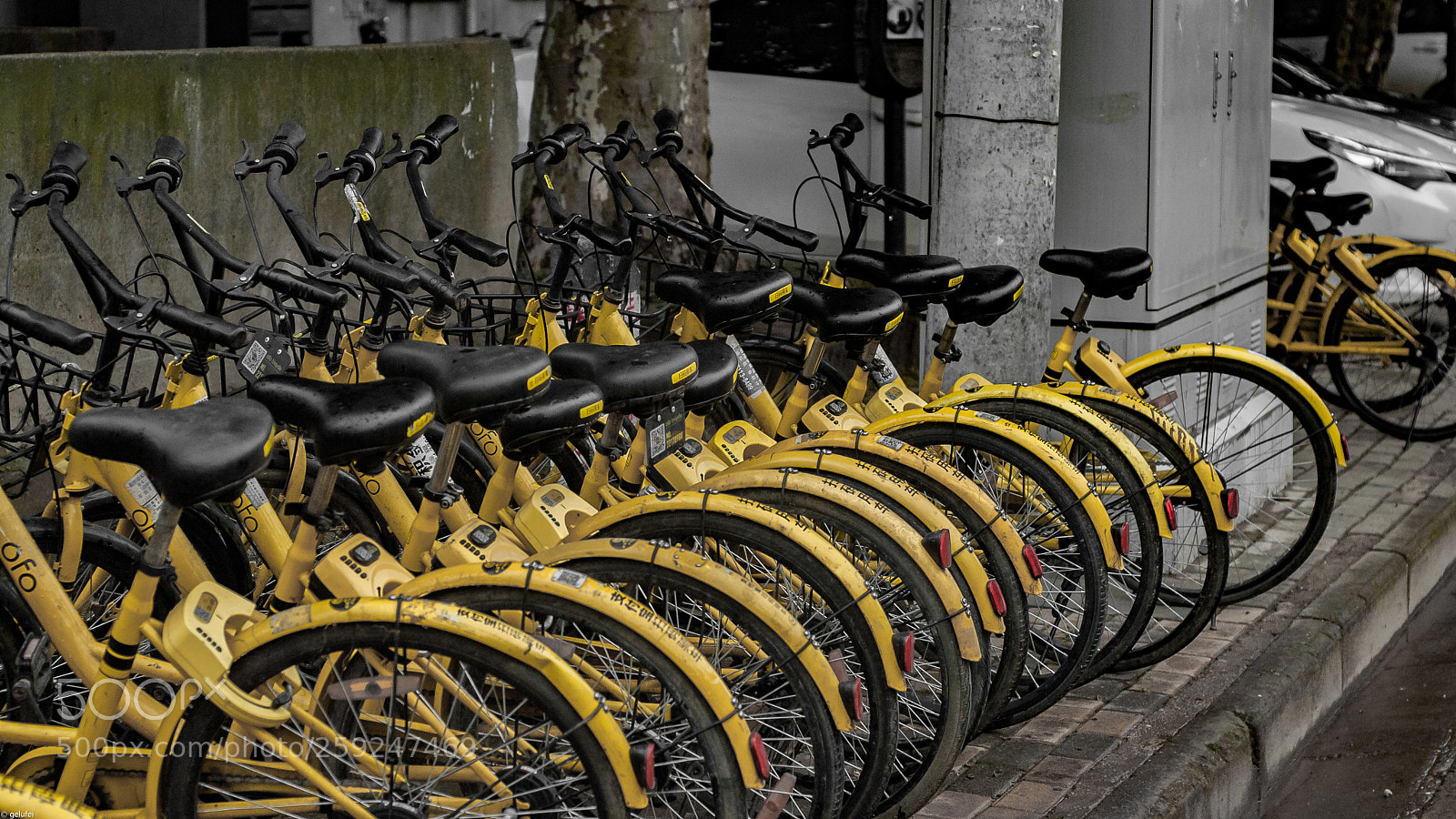Nikon D80 sample photo. Yellow bicycle photography