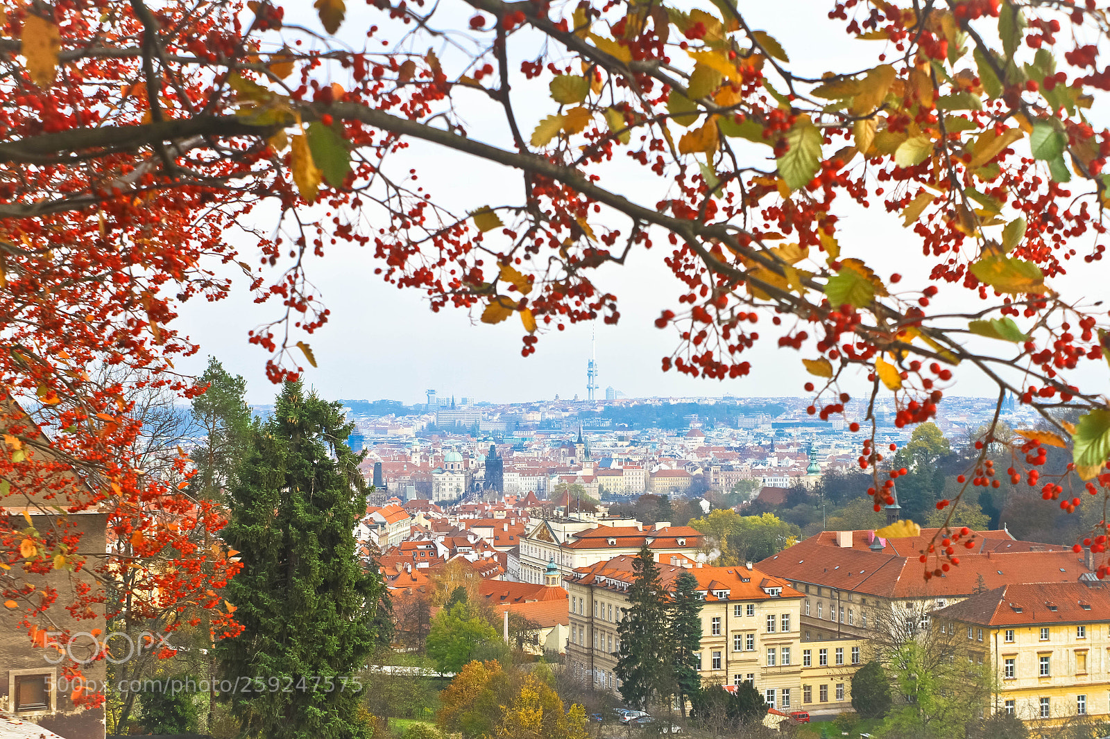 Canon EOS 7D sample photo. Prague charle's bridge, wen photography