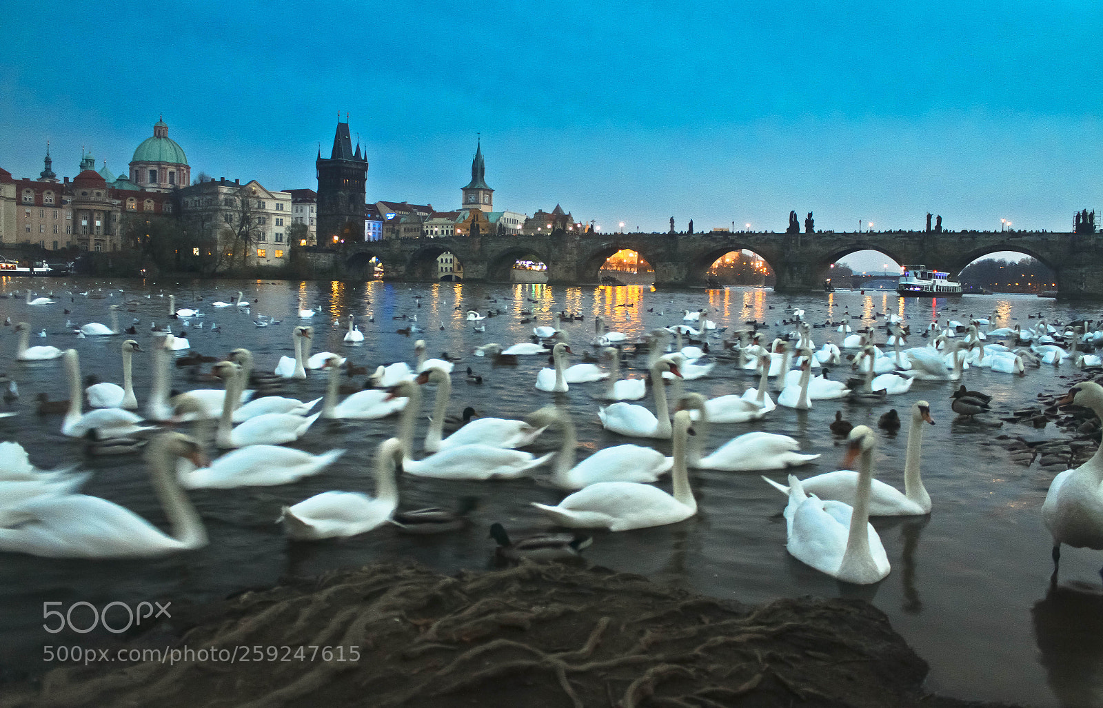 Canon EOS 7D sample photo. Prague charle's bridge, wen photography