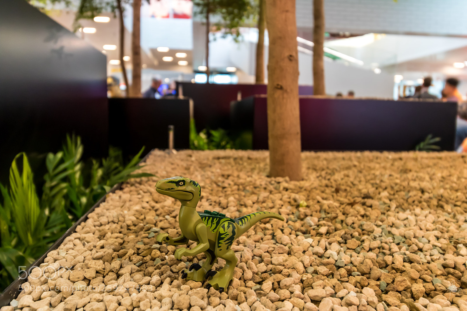 Canon EOS 7D Mark II sample photo. Dino danger photography