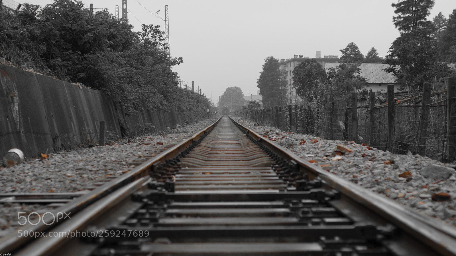 Nikon D80 sample photo. Untitled photography