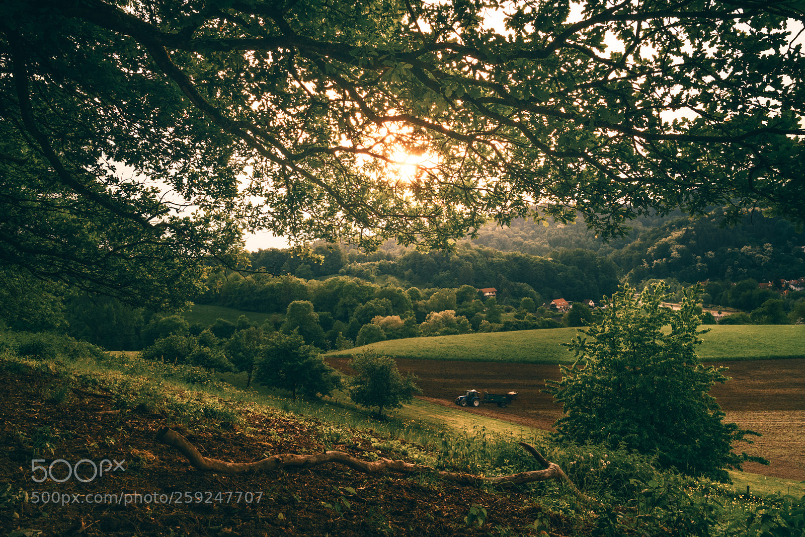 Sony a7R II sample photo. Farmer's work photography