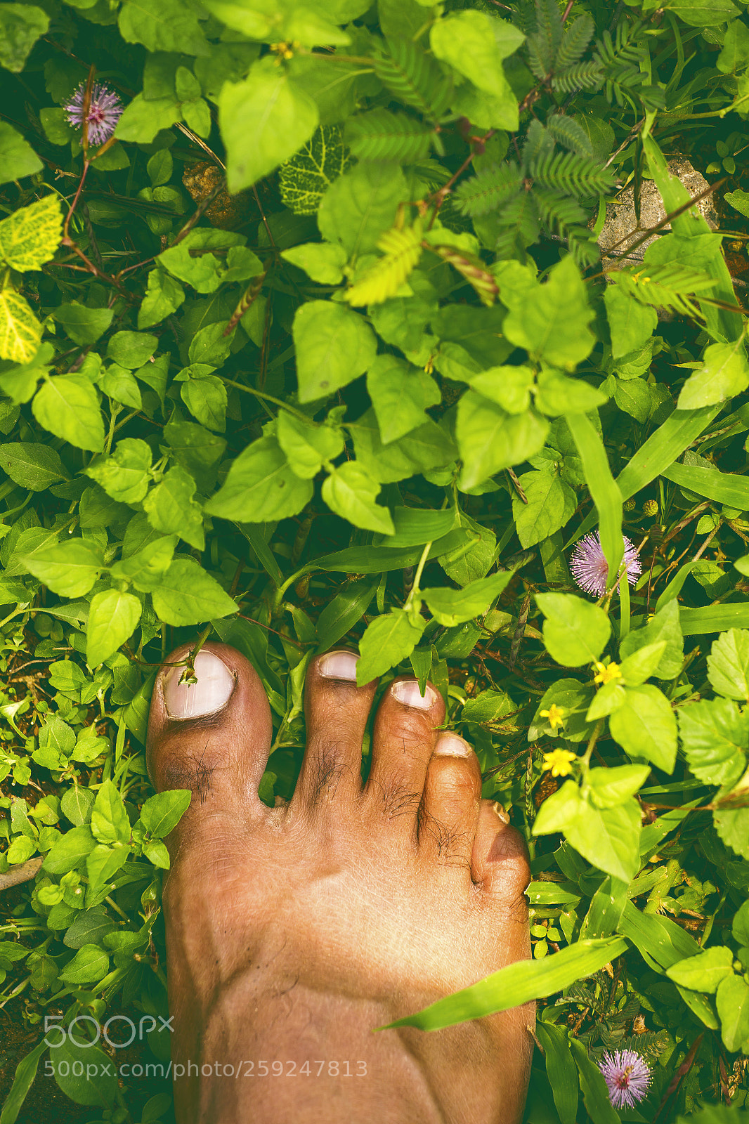 Canon EOS 6D sample photo. Place your feet in photography