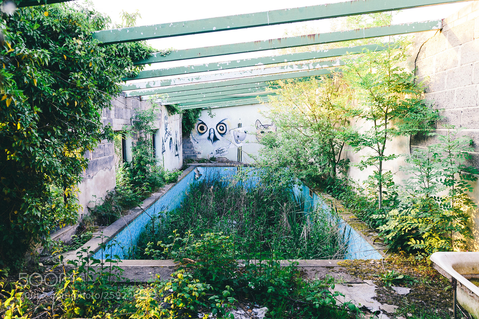 Canon EOS 5D Mark II sample photo. Overgrown photography