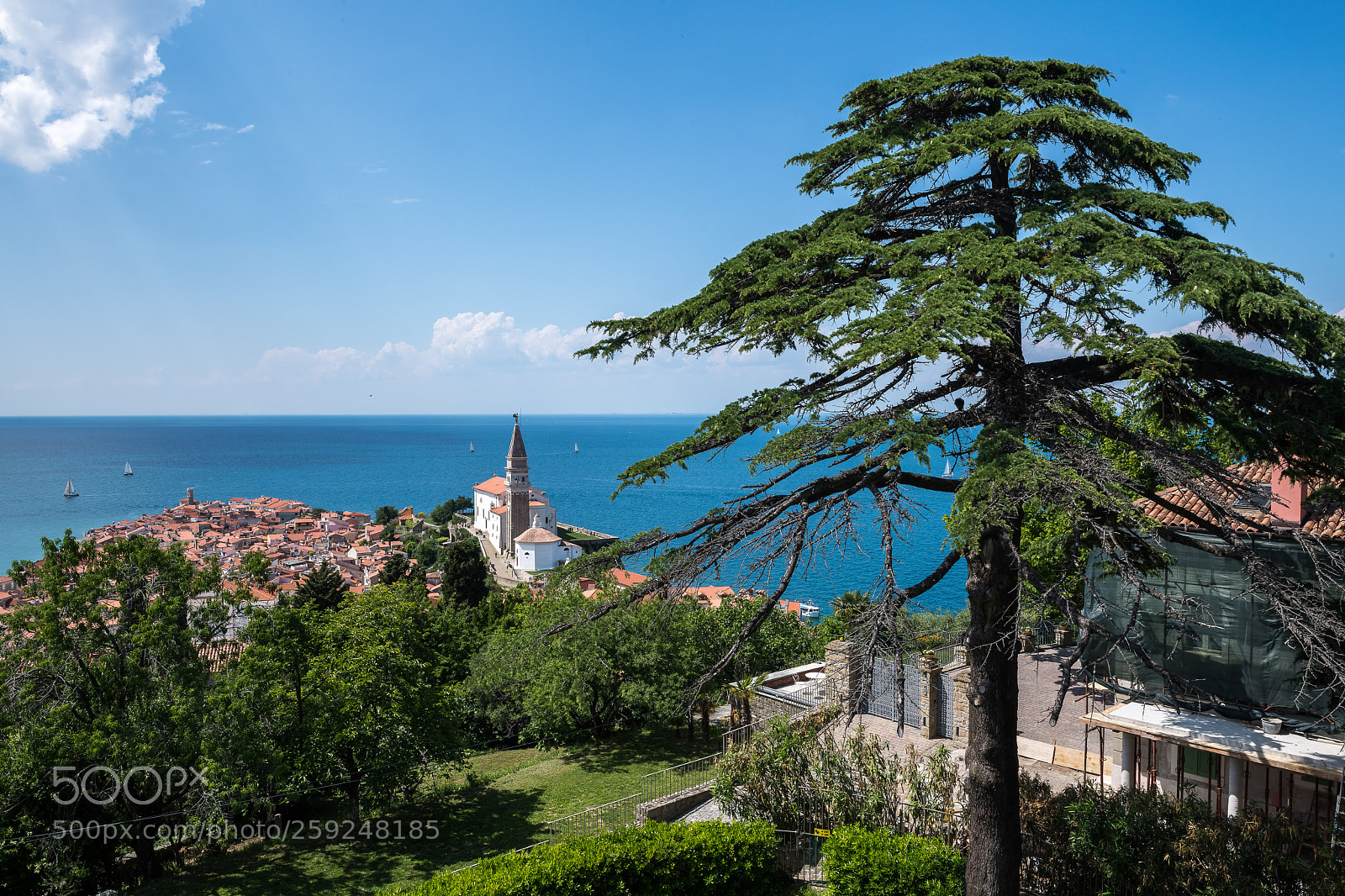 Nikon D850 sample photo. View from the city photography