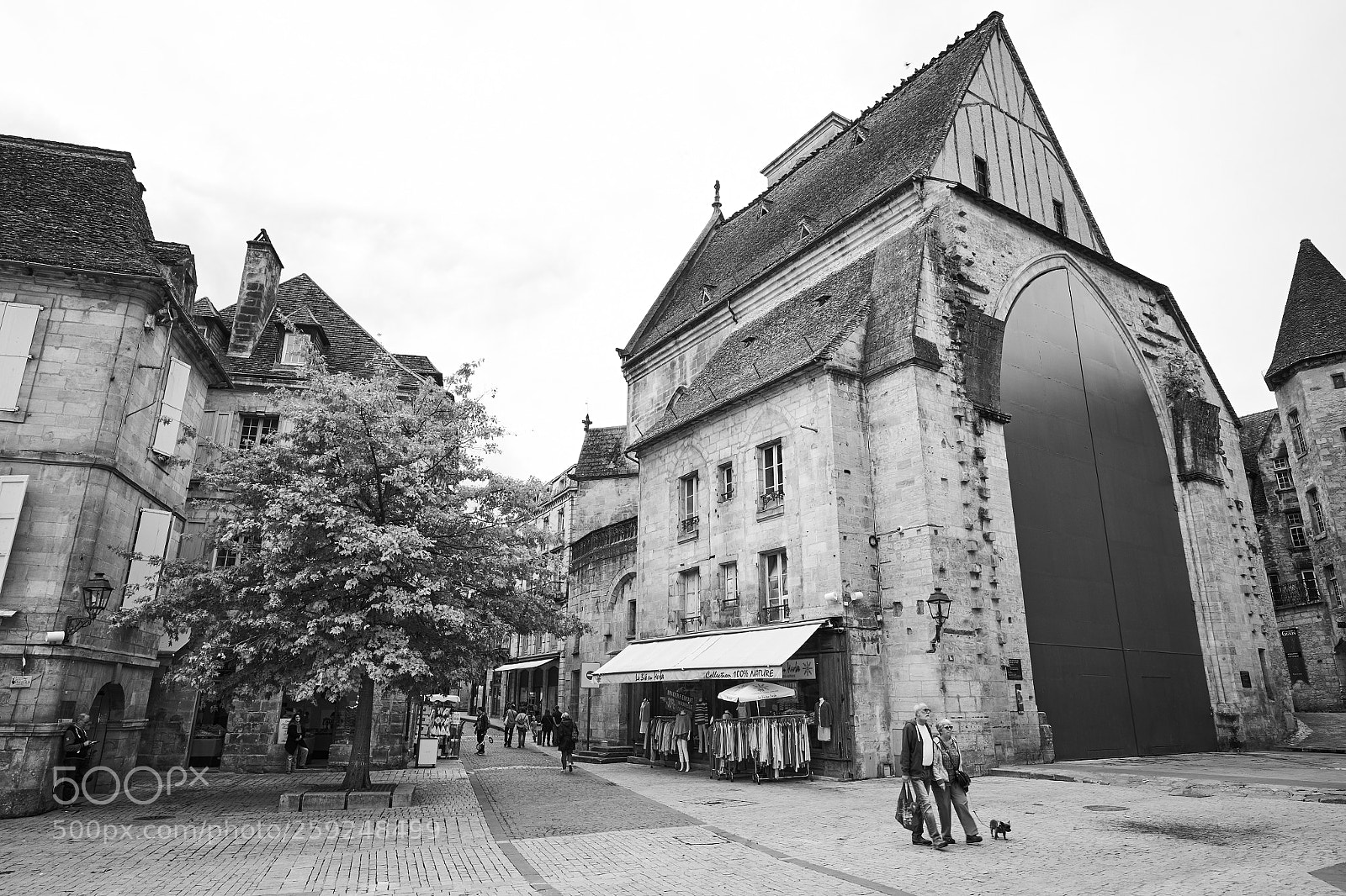 Fujifilm X-T1 sample photo. Perigord photography