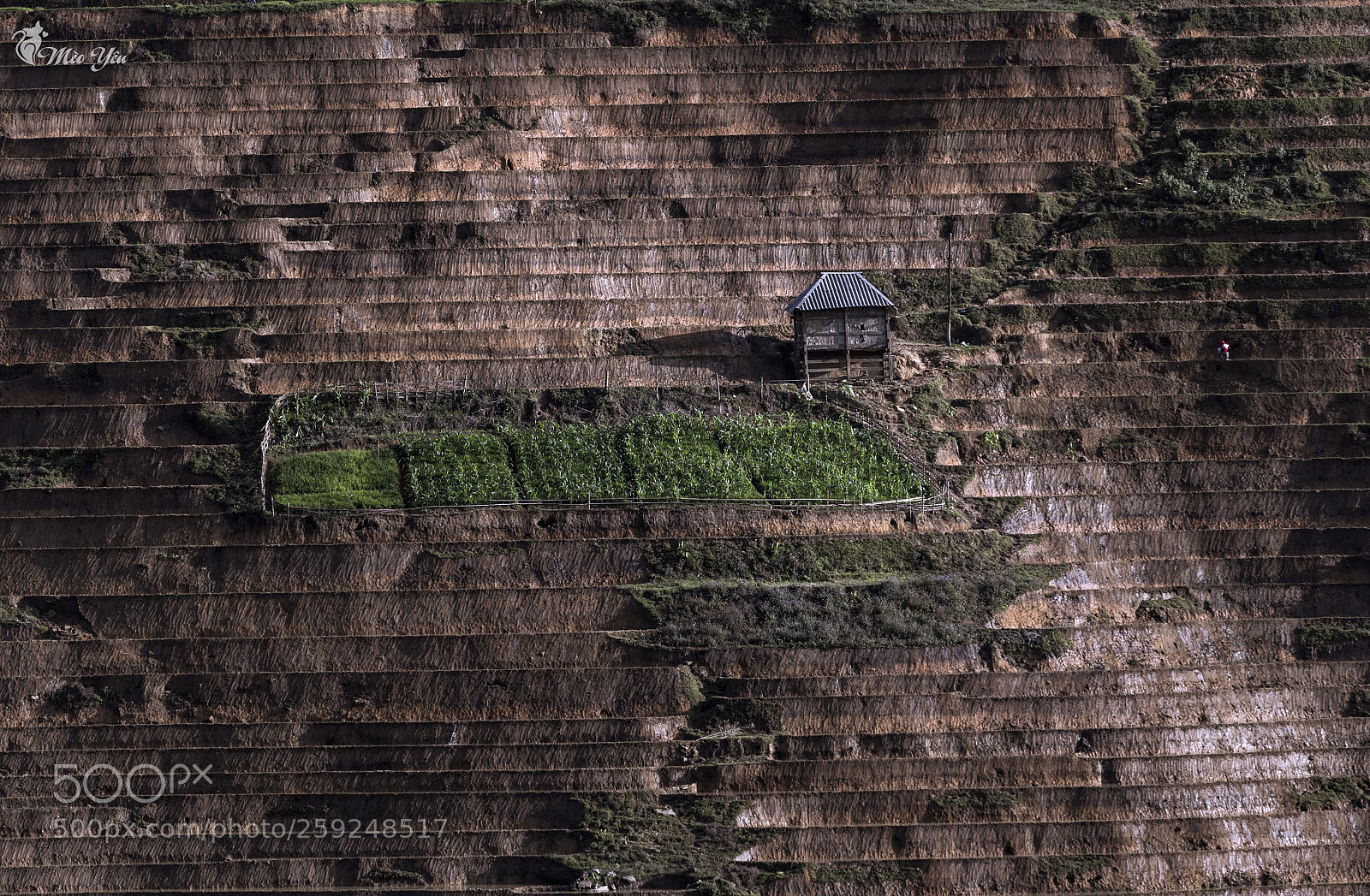 Canon EOS 6D sample photo. Lonely house on terraced photography