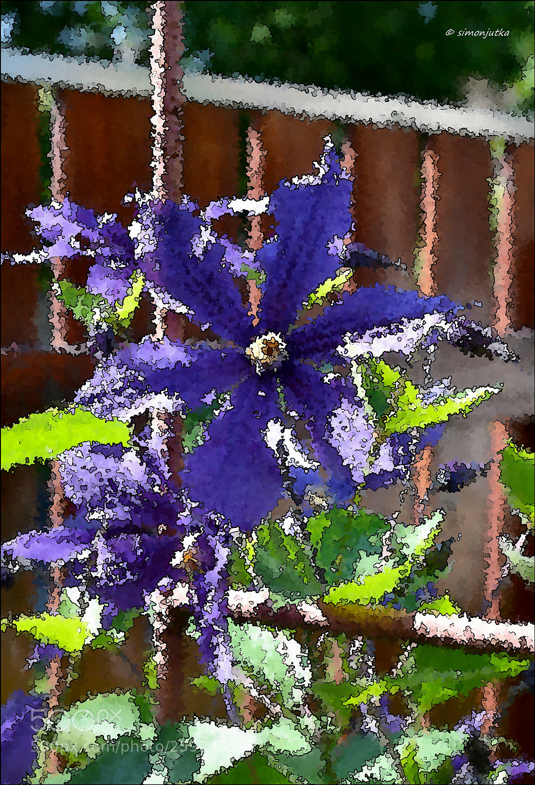 Nikon D3100 sample photo. Clematis photography
