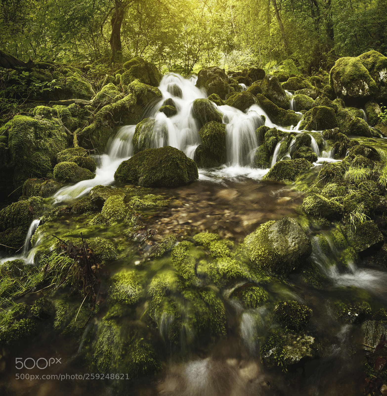 Nikon D610 sample photo. Greenscape photography