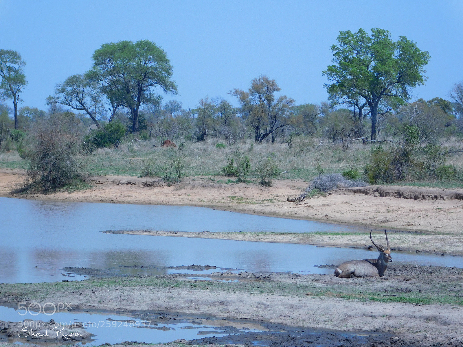 Nikon Coolpix L840 sample photo. Beautiful south africa photography