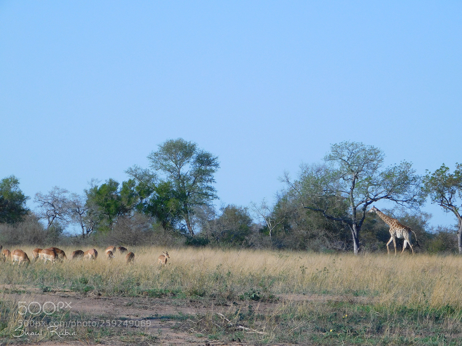 Nikon Coolpix L840 sample photo. Beautiful south africa photography