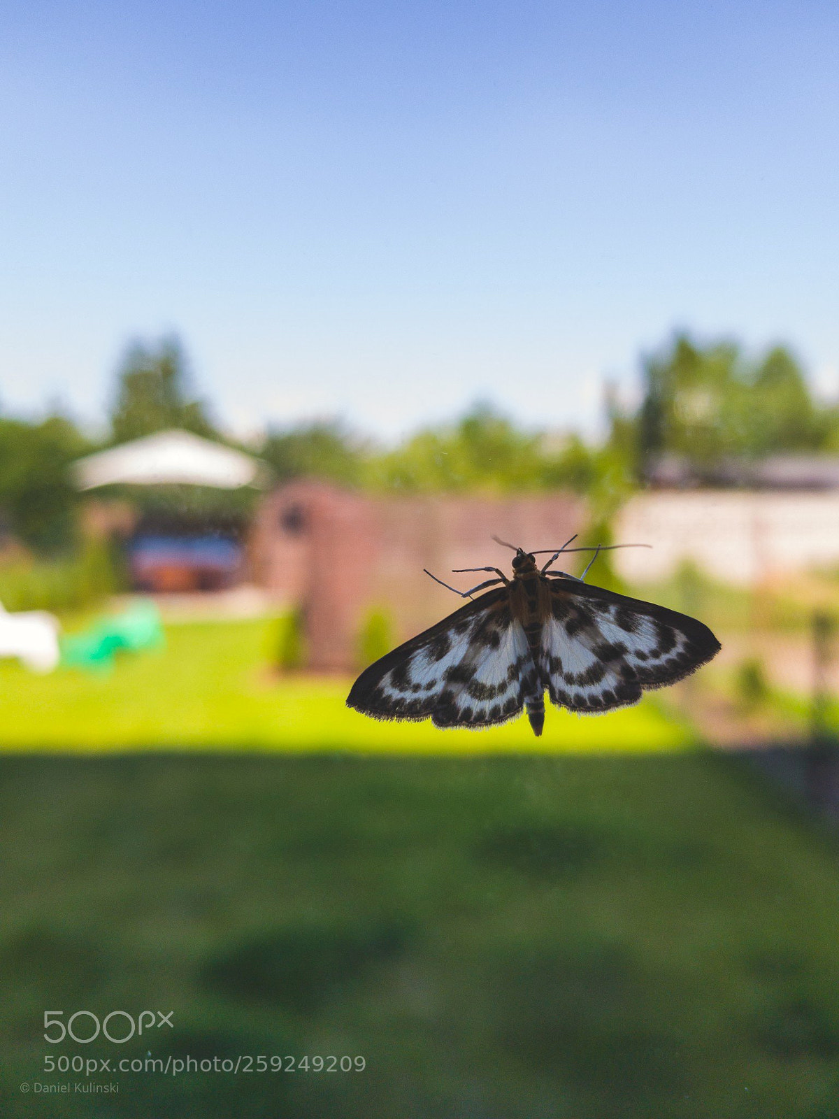 Samsung Galaxy S8+ sample photo. 94/365 photography
