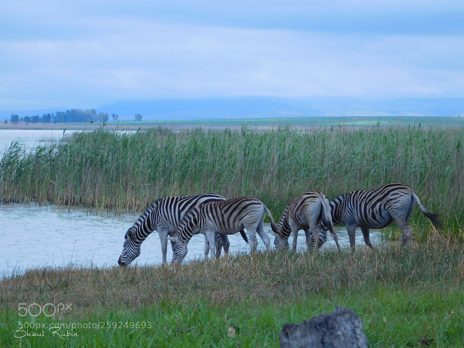 Nikon Coolpix L840 sample photo. Beautiful south africa photography