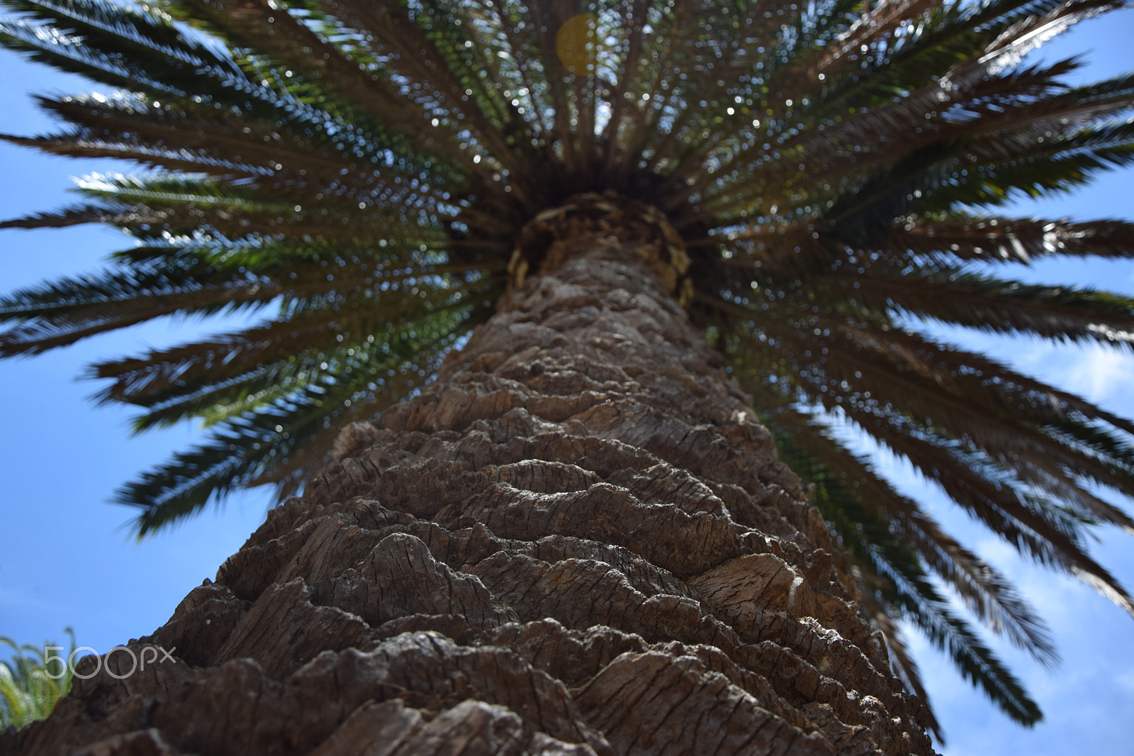 Nikon D5300 sample photo