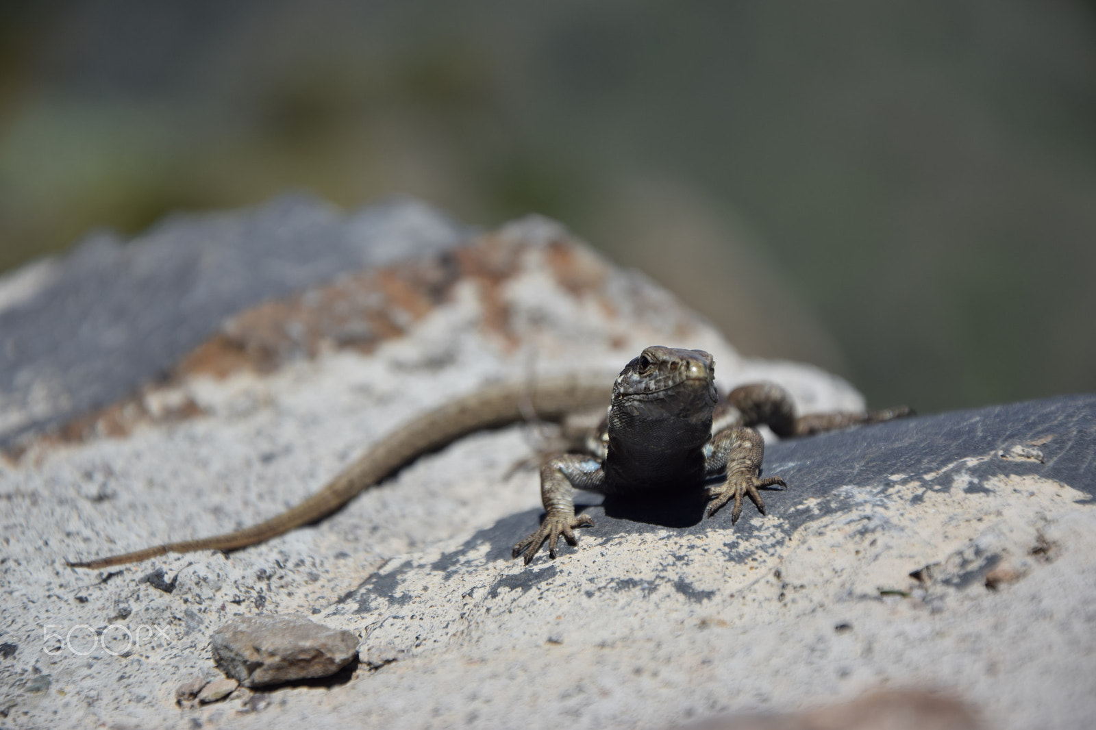 Nikon D5300 sample photo