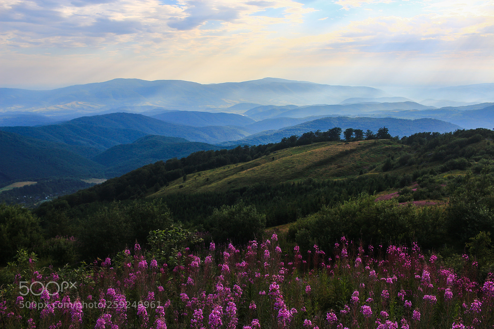 Canon EOS 100D (EOS Rebel SL1 / EOS Kiss X7) sample photo. Mountain ridge with flowers photography