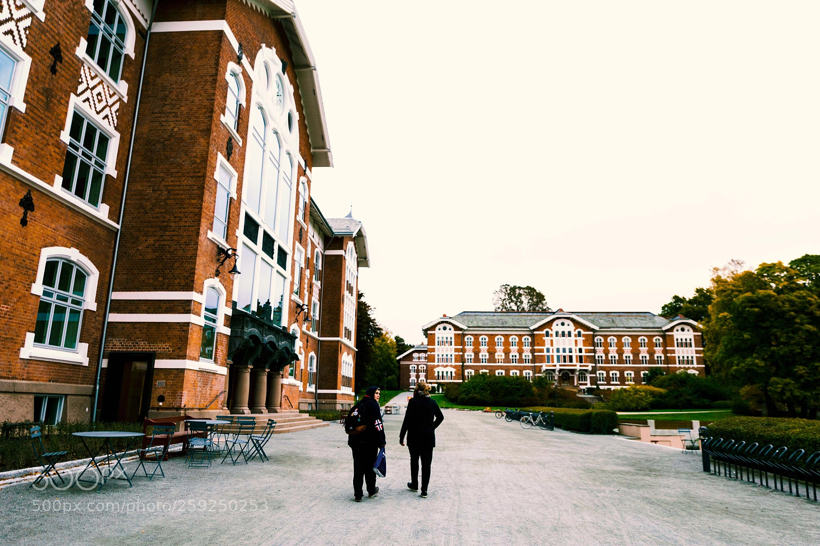 Canon EOS 6D sample photo. Ronja hasund photography