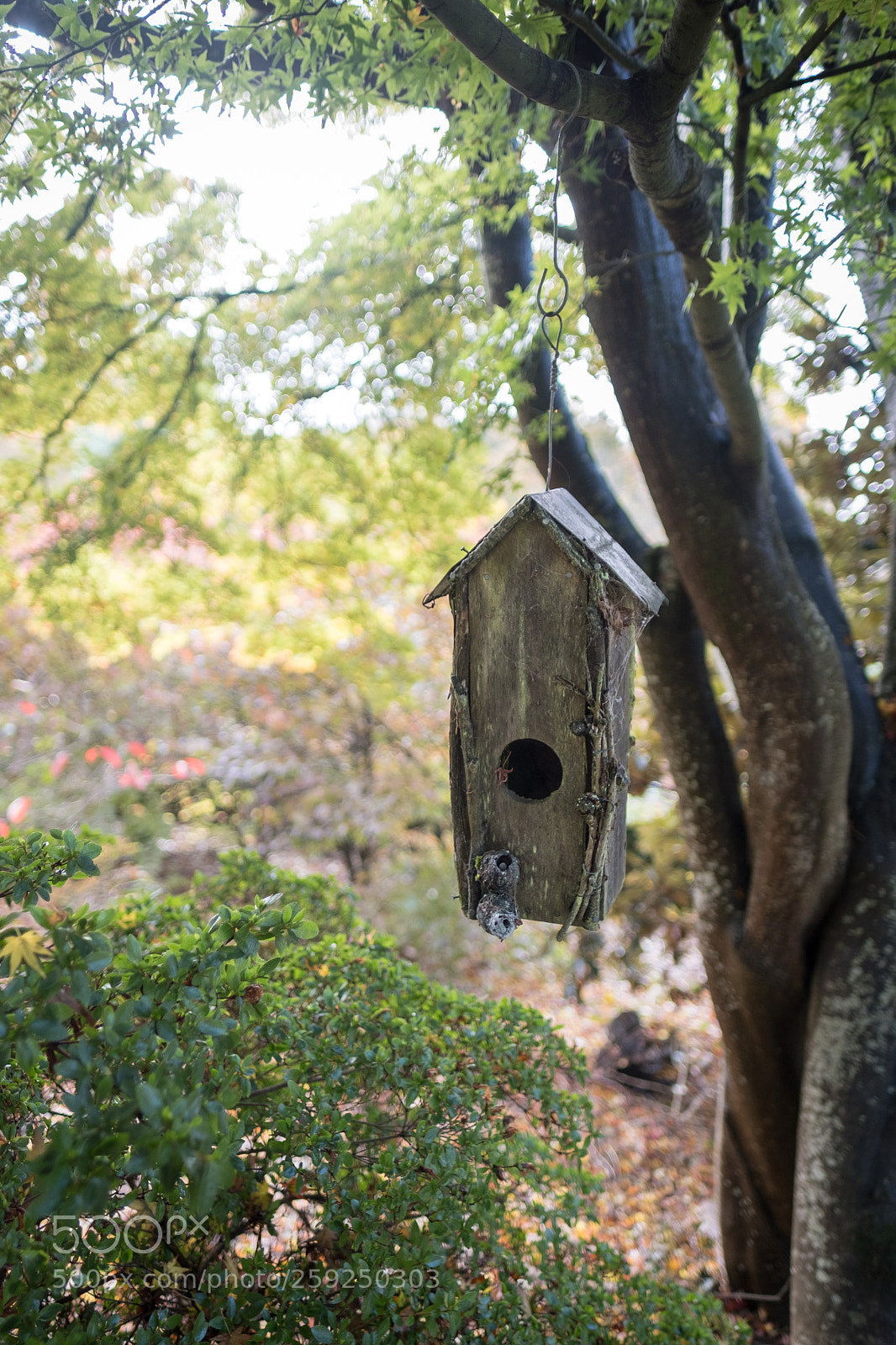Fujifilm X-T2 sample photo. Birdhouse photography