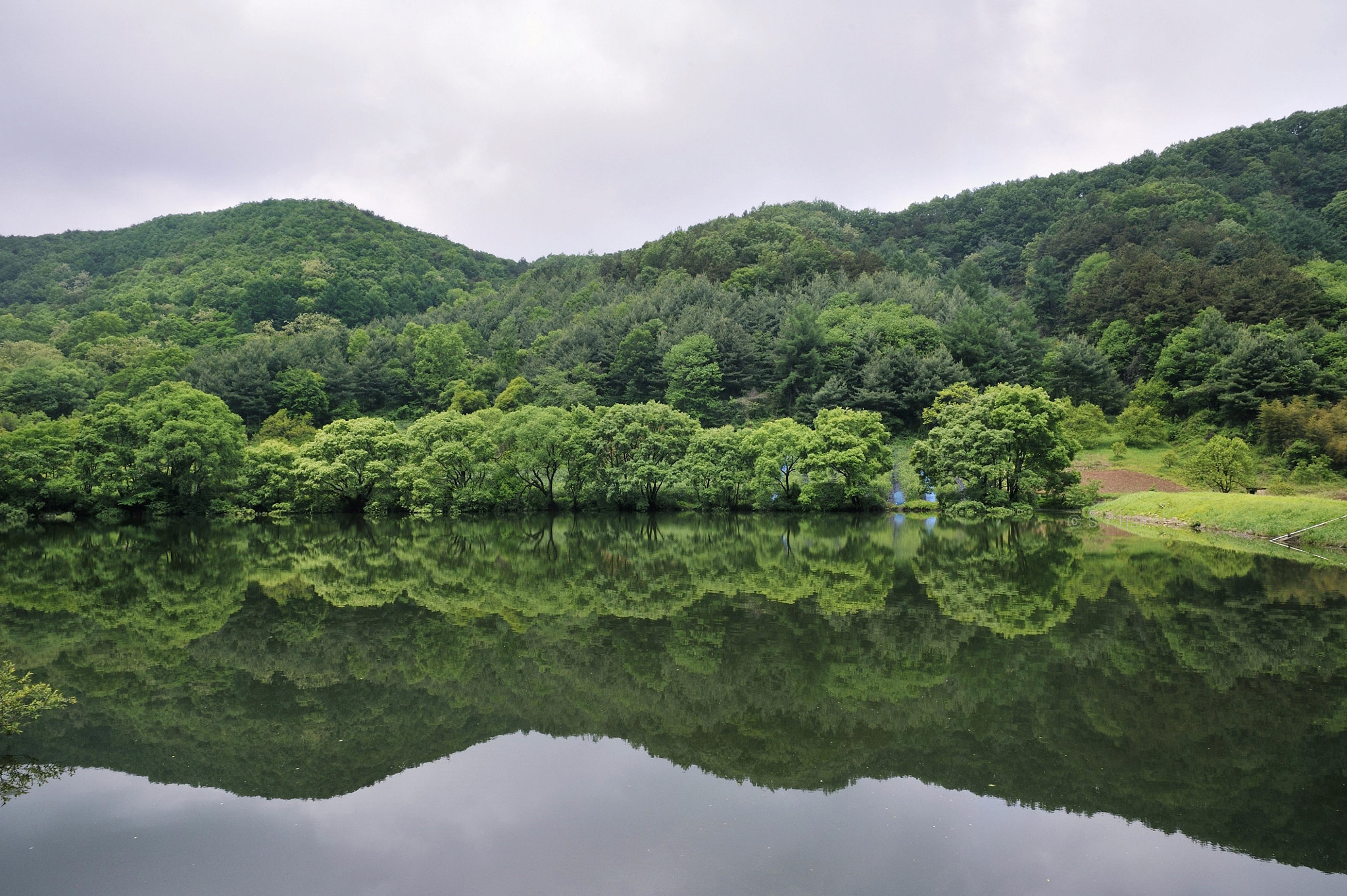 Nikon AF-S Nikkor 24-120mm F4G ED VR sample photo. Green reflection photography
