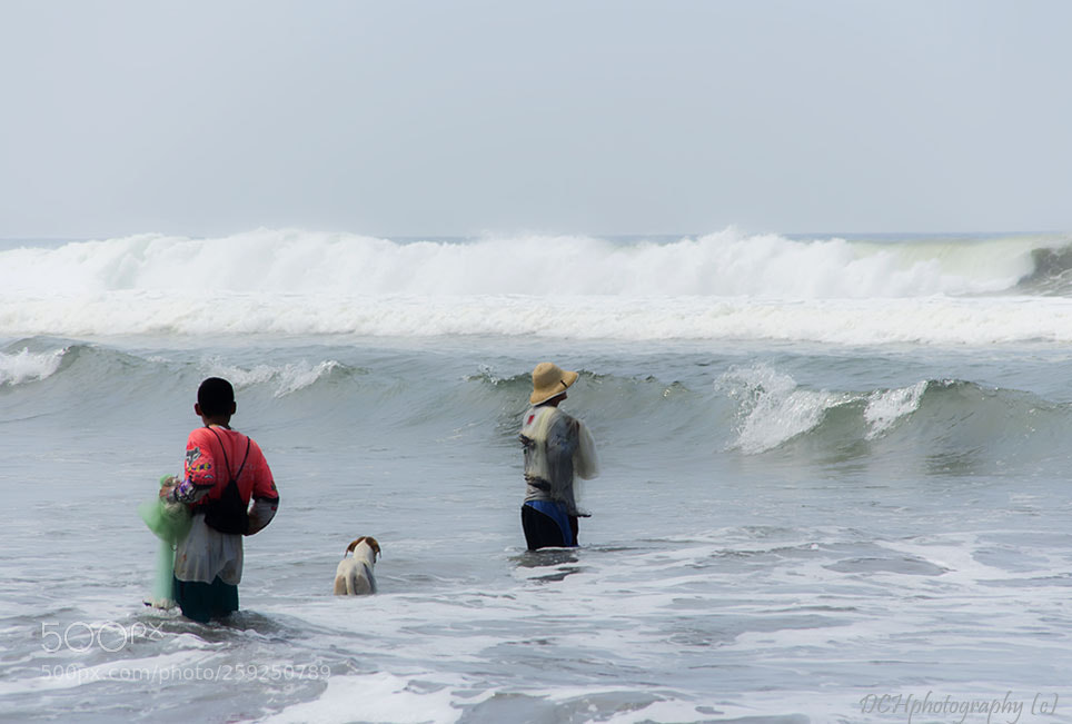 Canon EOS 650D (EOS Rebel T4i / EOS Kiss X6i) sample photo. Catch of the day photography