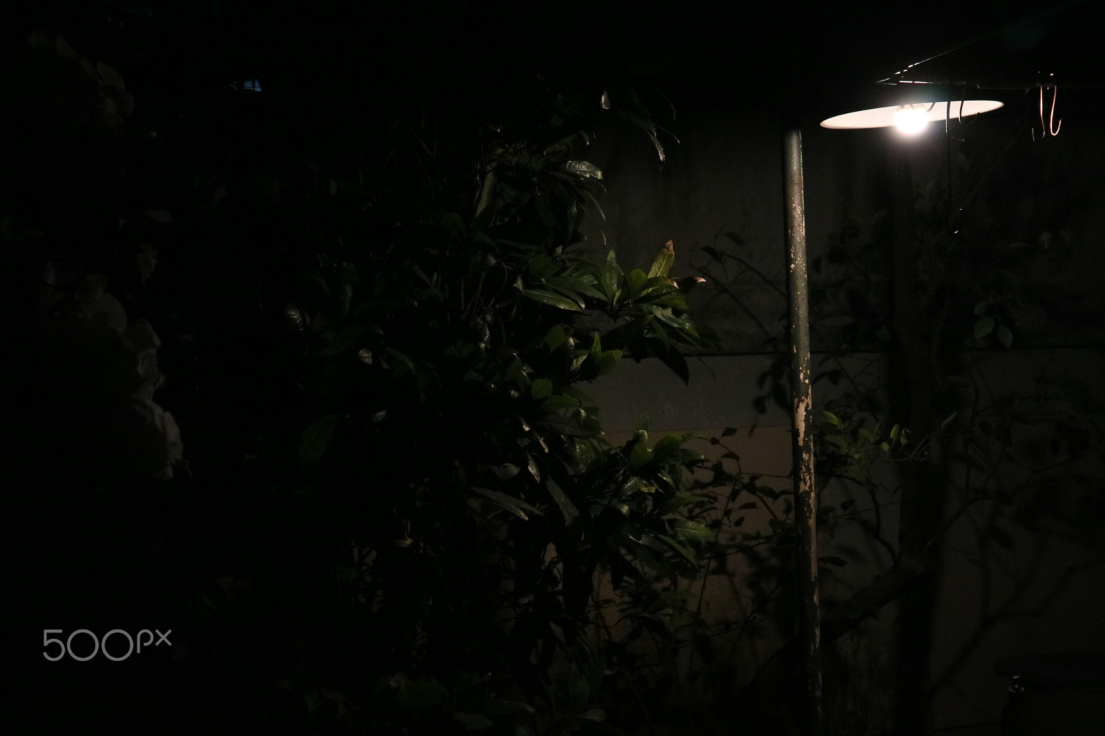 Canon EOS M3 sample photo. Canon eos m3 photography