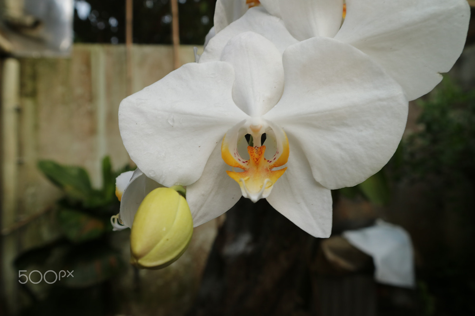 Canon EOS M3 sample photo. Canon eos m3 photography