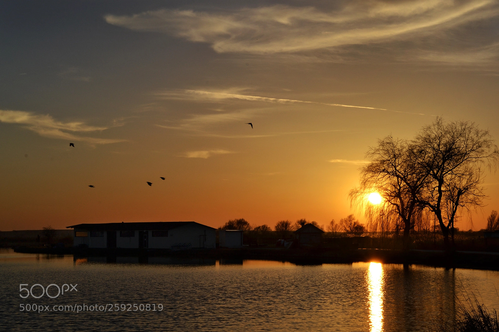 Nikon D3100 sample photo. Sunset photography