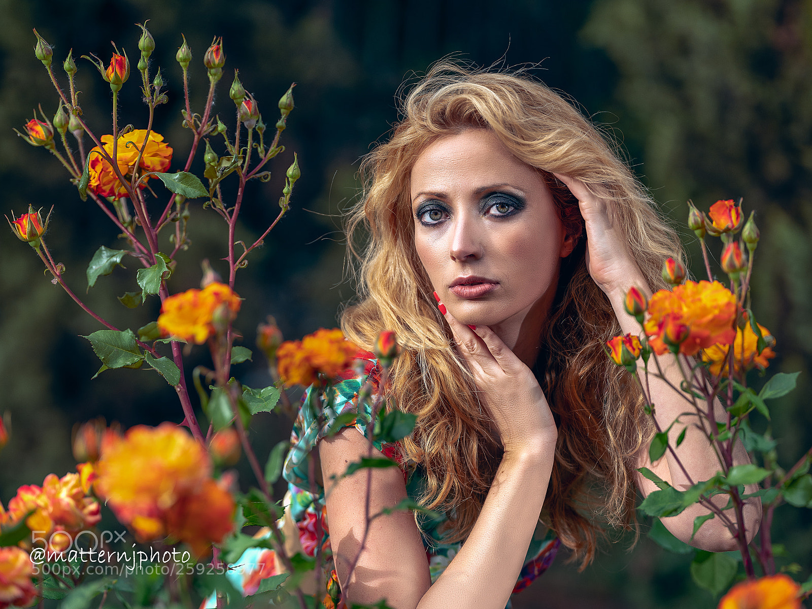 Fujifilm GFX 50S sample photo. Untitled photography