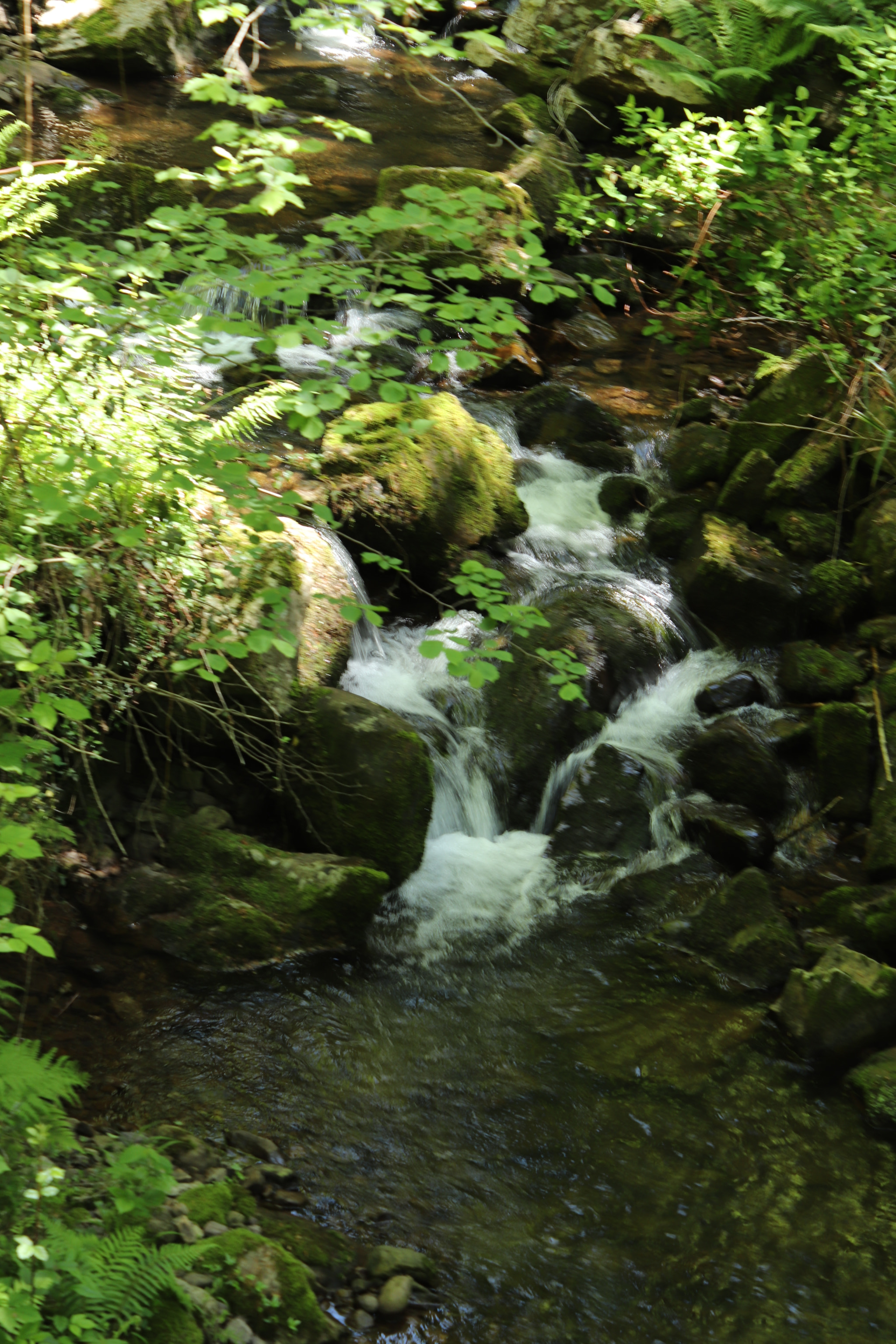 Canon EOS 77D (EOS 9000D / EOS 770D) sample photo. Ucieda_03 photography