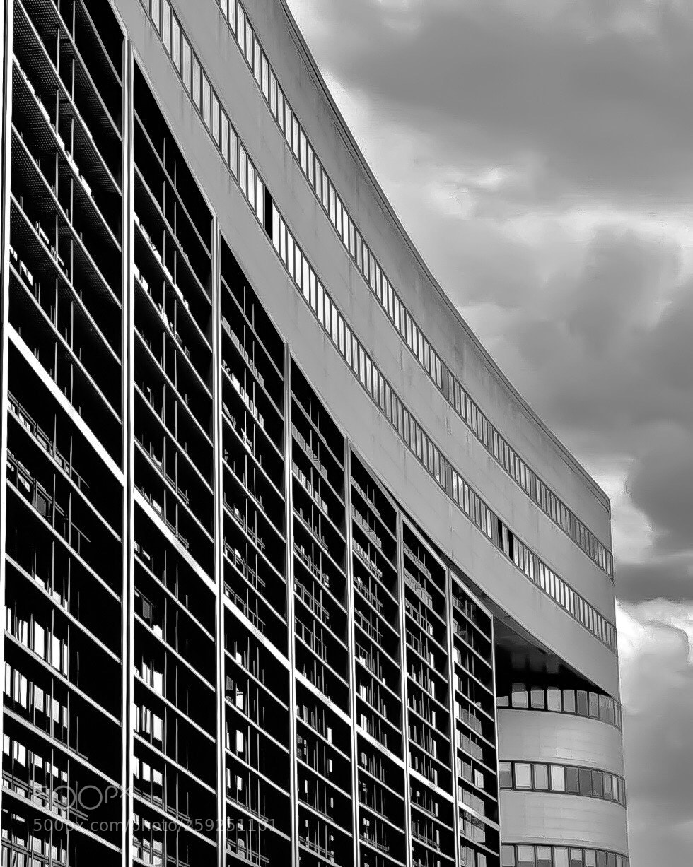 Nikon D5300 sample photo. Curved lines in perspective  photography