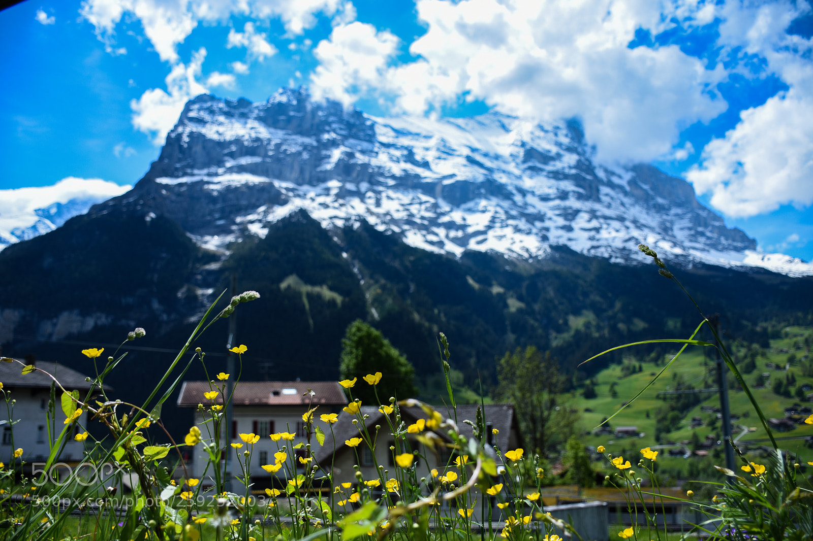 Nikon D7200 sample photo. Switzerland photography