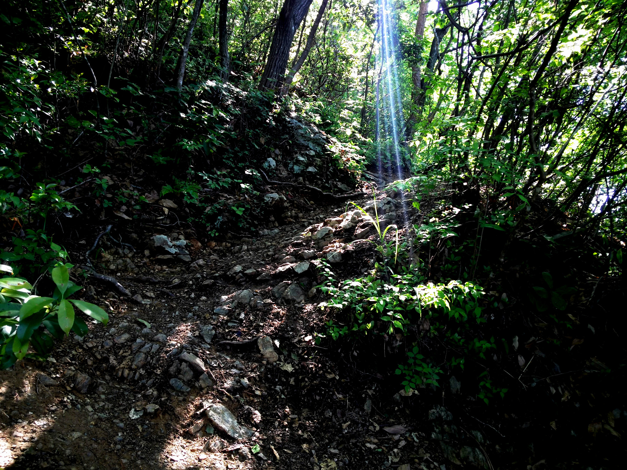 Nikon KeyMission 80 sample photo. A trail photography