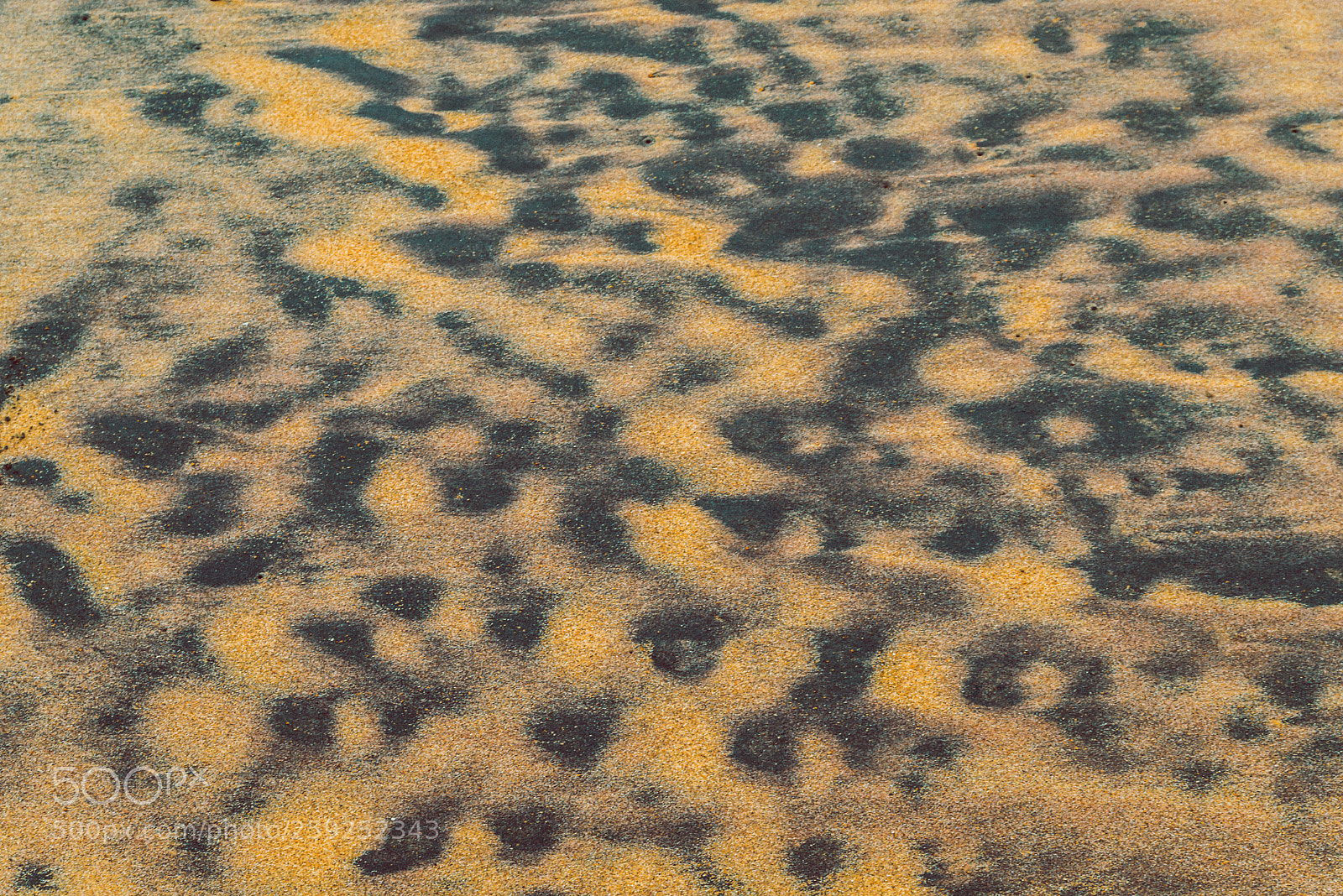 Nikon D800 sample photo. Orange sand background. abstract photography