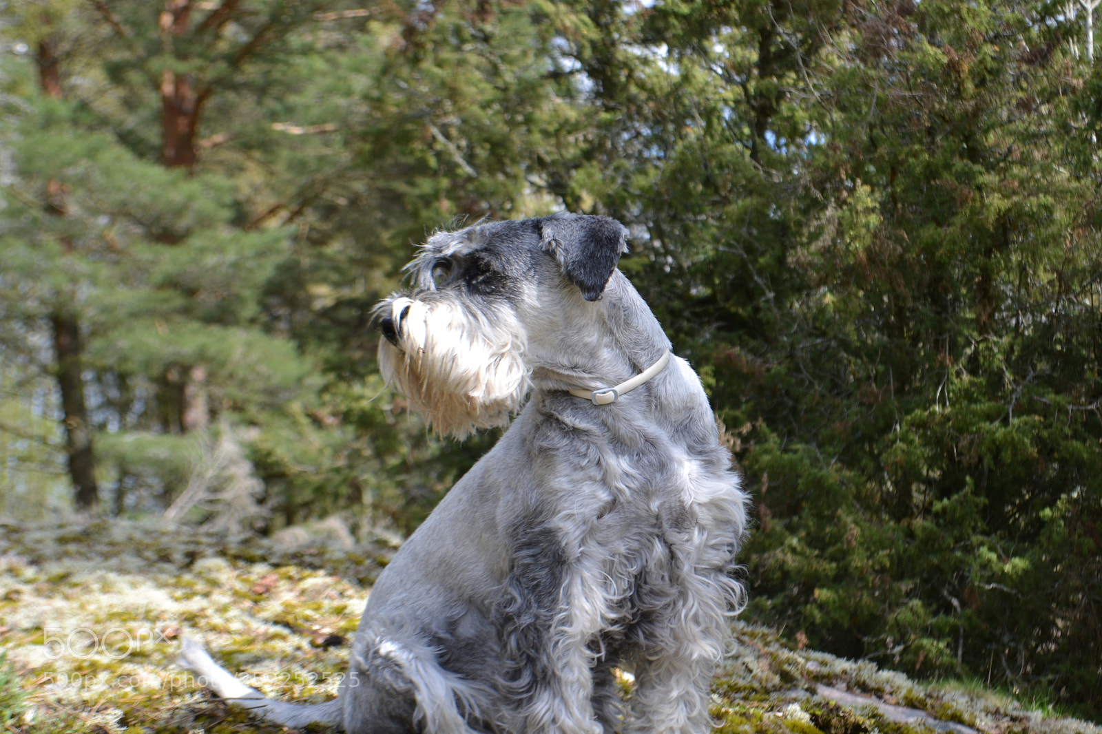 Nikon D3100 sample photo. What's that over there? photography