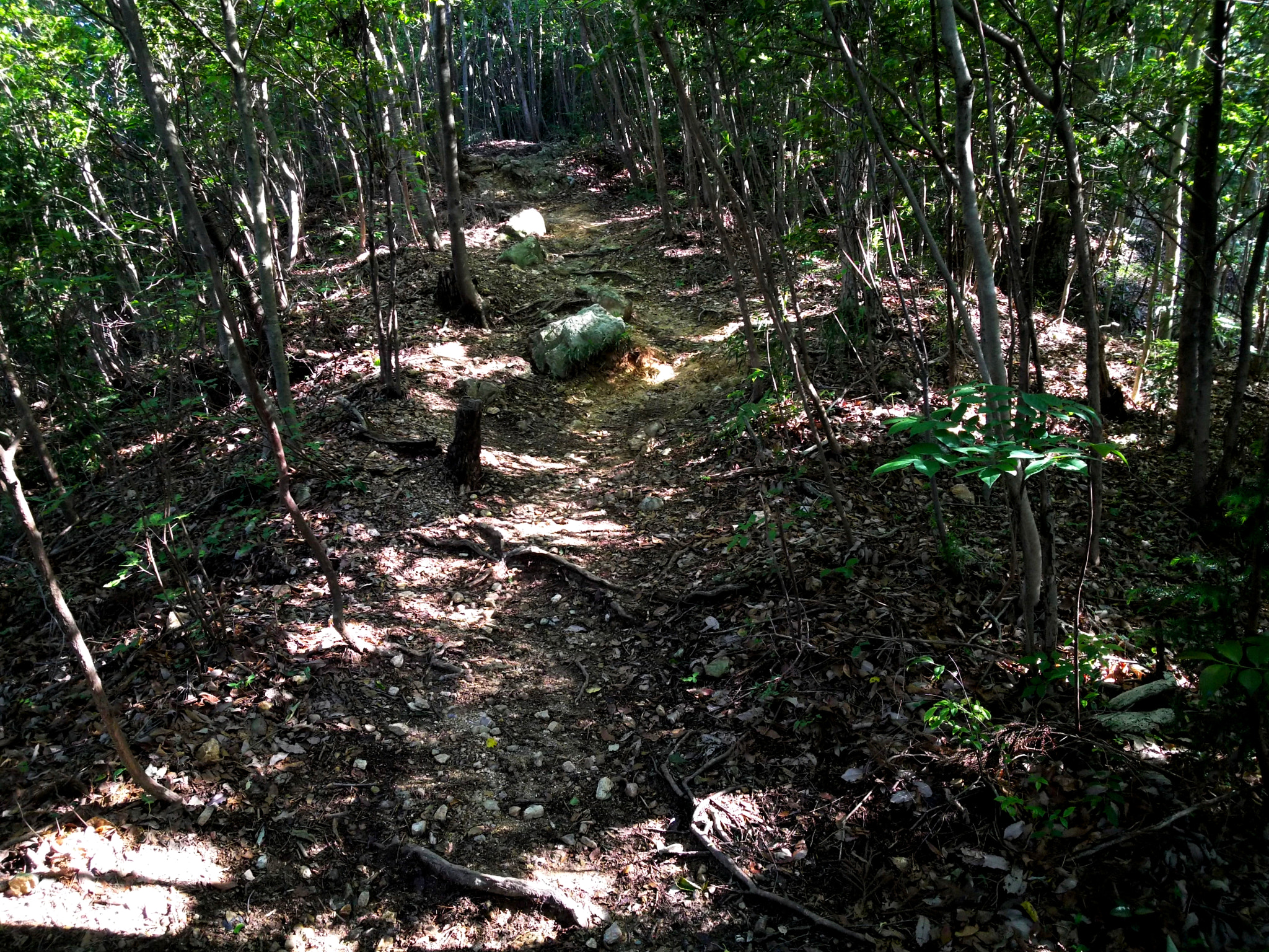 Nikon KeyMission 80 sample photo. A trail photography