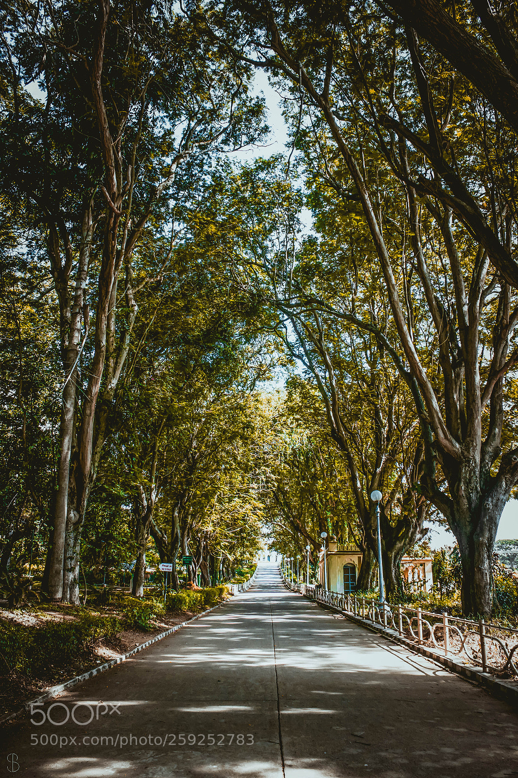 Canon EOS 60D sample photo. Down the road. photography