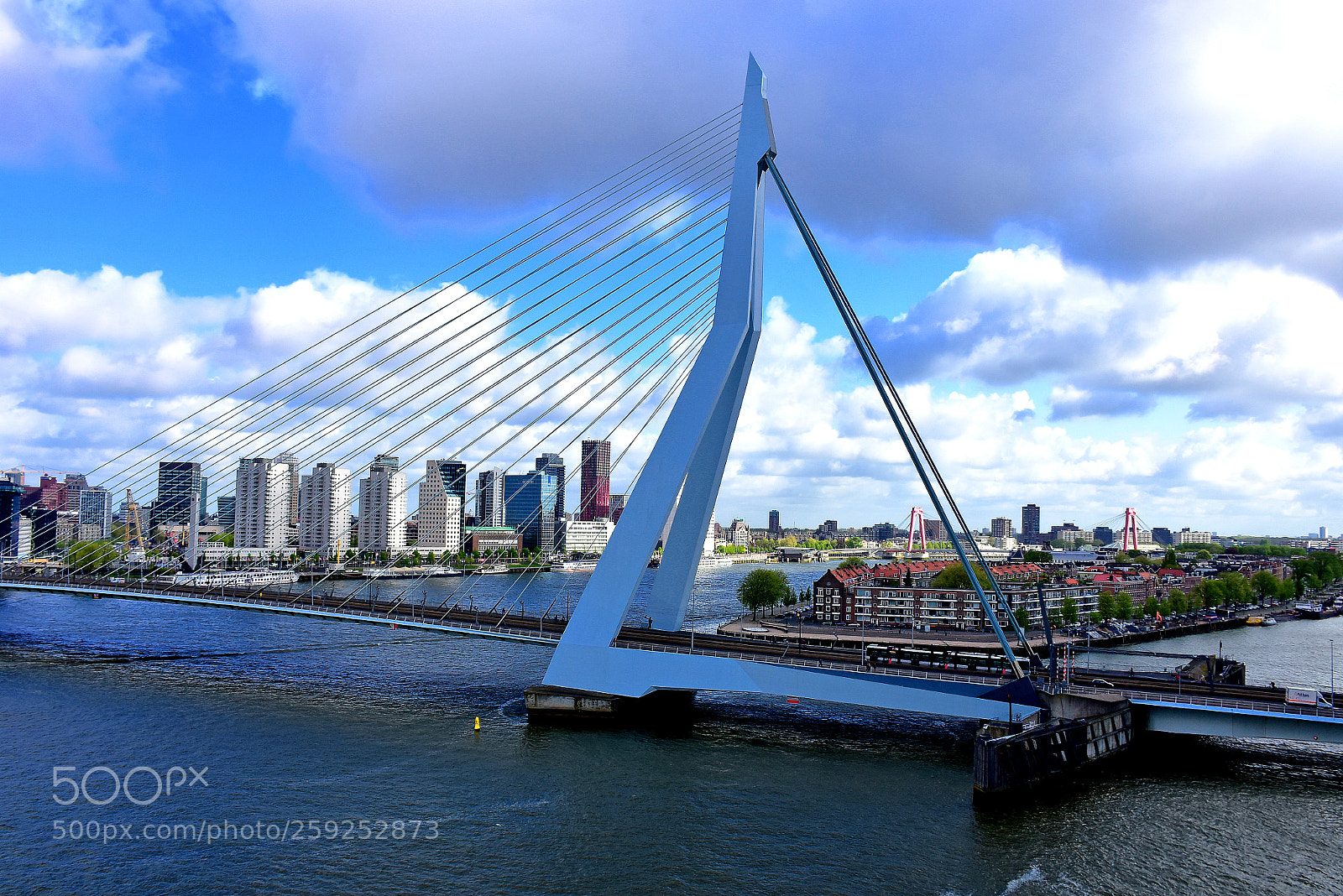 Nikon D7200 sample photo. Bridge to rotterdam photography